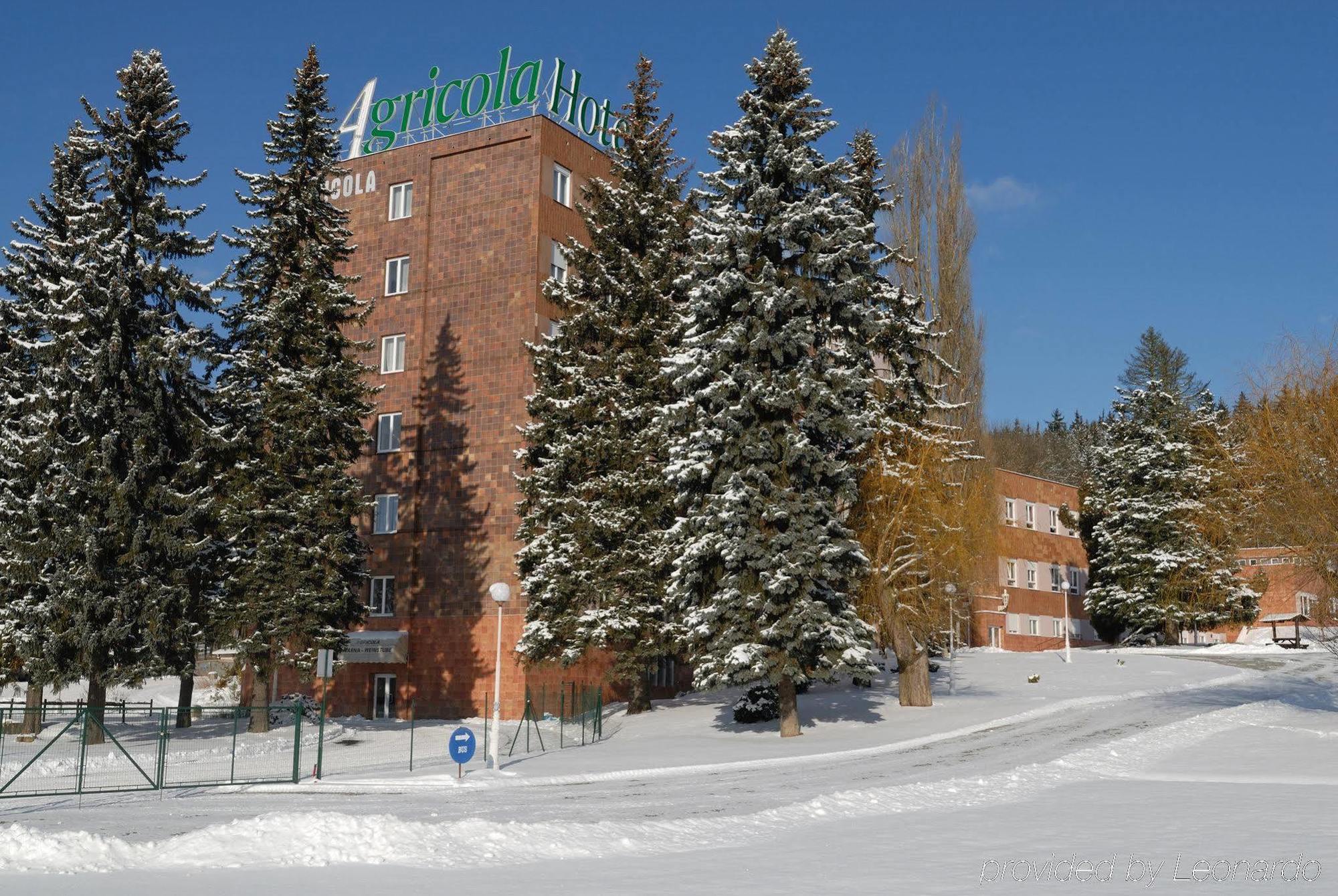 Hotel Agricola Sport & Wellness Centre Mariańskie Łaźnie Zewnętrze zdjęcie